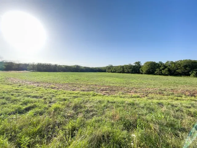 a view of a green field with plants in the background
