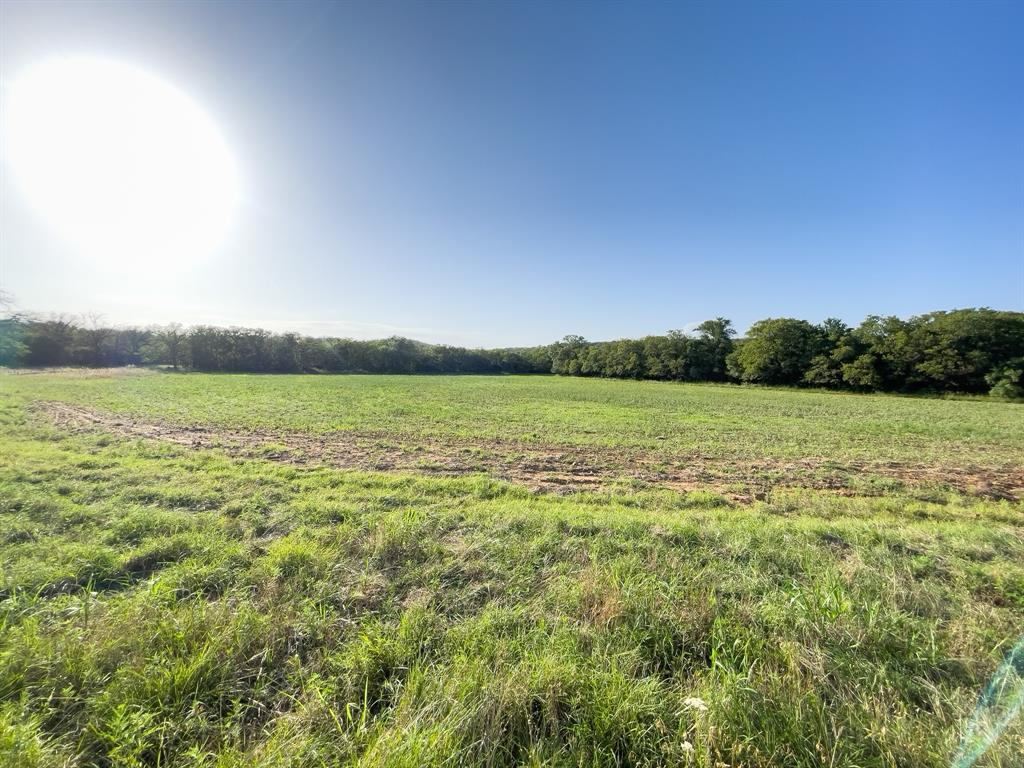 L 1 Rivertrail Circle Mingus, TX 76463 - Photo 27 of 37 a view of a green field and an ocean