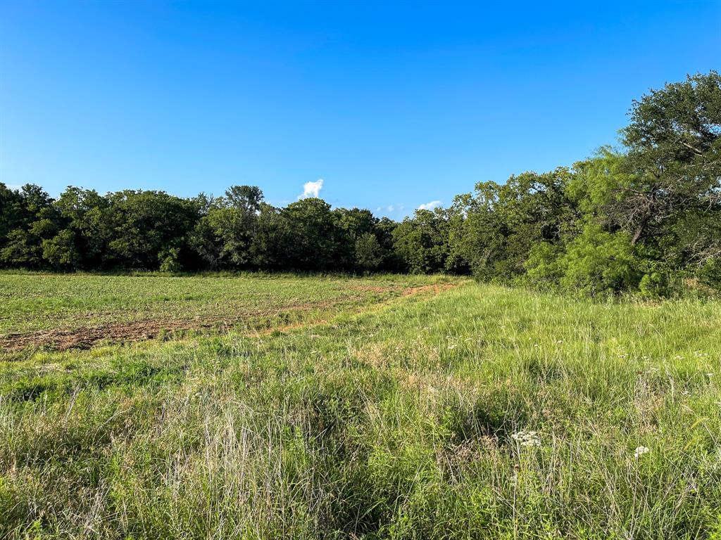 L 1 Rivertrail Circle Mingus, TX 76463 - Photo 29 of 37 a view of a green field with plants in the background