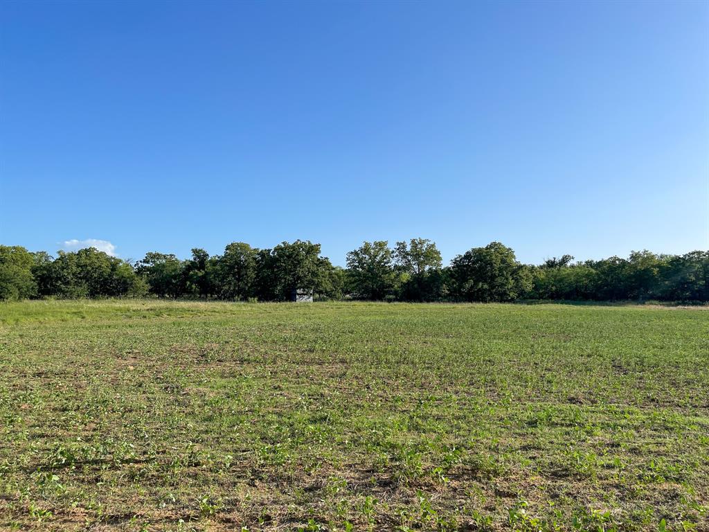 L 1 Rivertrail Circle Mingus, TX 76463 - Photo 3 of 37 a view of a field with an ocean
