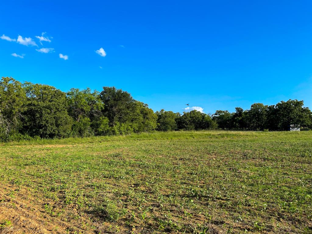 L 1 Rivertrail Circle Mingus, TX 76463 - Photo 33 of 37 a view of outdoor space and yard