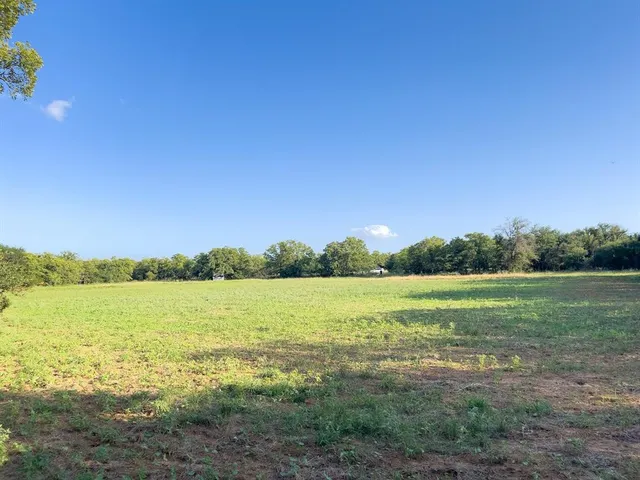 $339,360 | L 1 Rivertrail Circle, Mingus, TX 76463