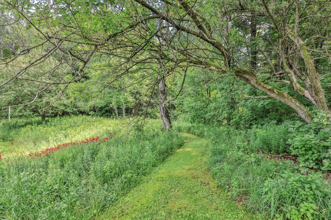 W710 Strucker Road Ogema, WI 54459 - Photo 59 of 82 Gallery Image 59
