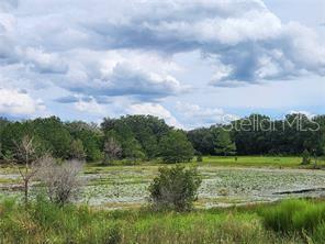 Orange Road Ocklawaha, FL 32179 - Photo 2 of 5 a view of a garden with a building in the background
