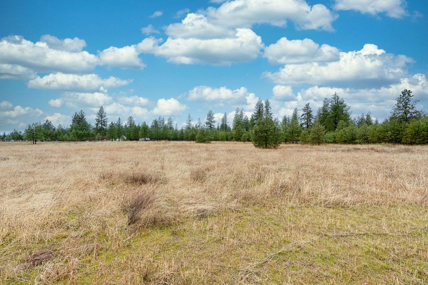 13908 South Short Road Cheney, WA 99004 - Photo 27 of 29