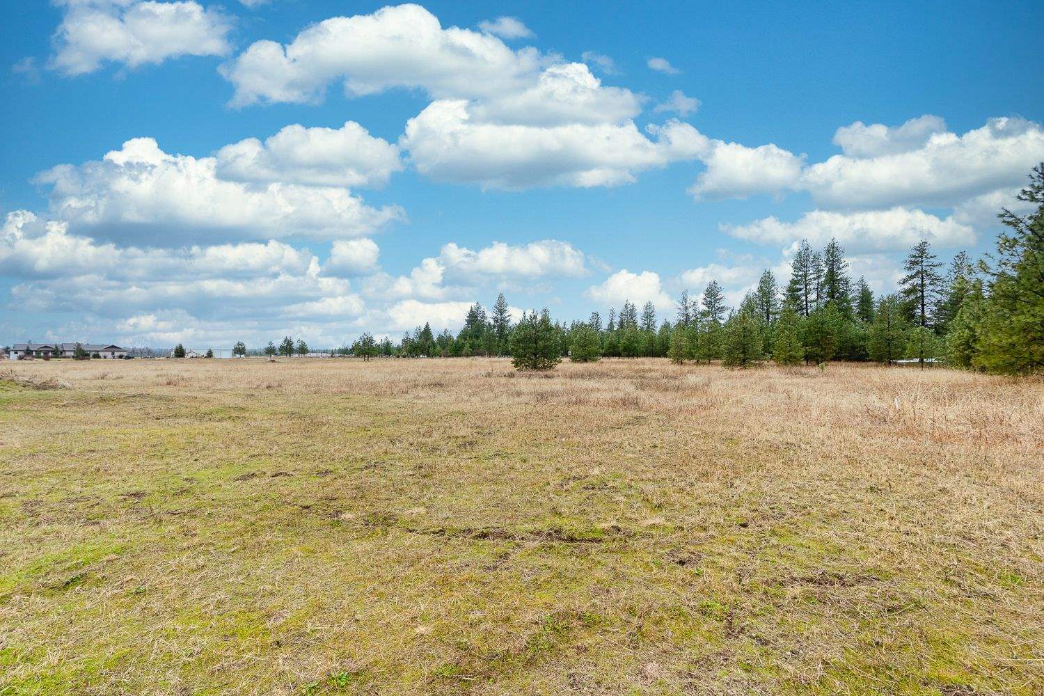 13908 South Short Road Cheney, WA 99004 - Photo 29 of 29
