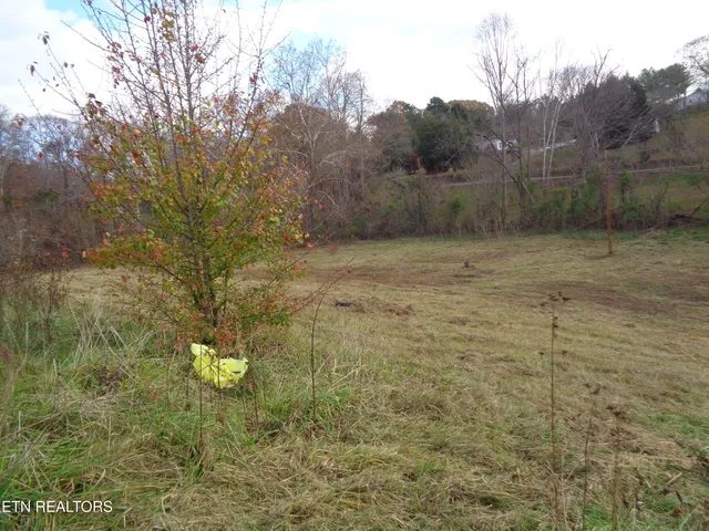 $245,000 | 105 Nelms Street, Surgoinsville, TN 37873