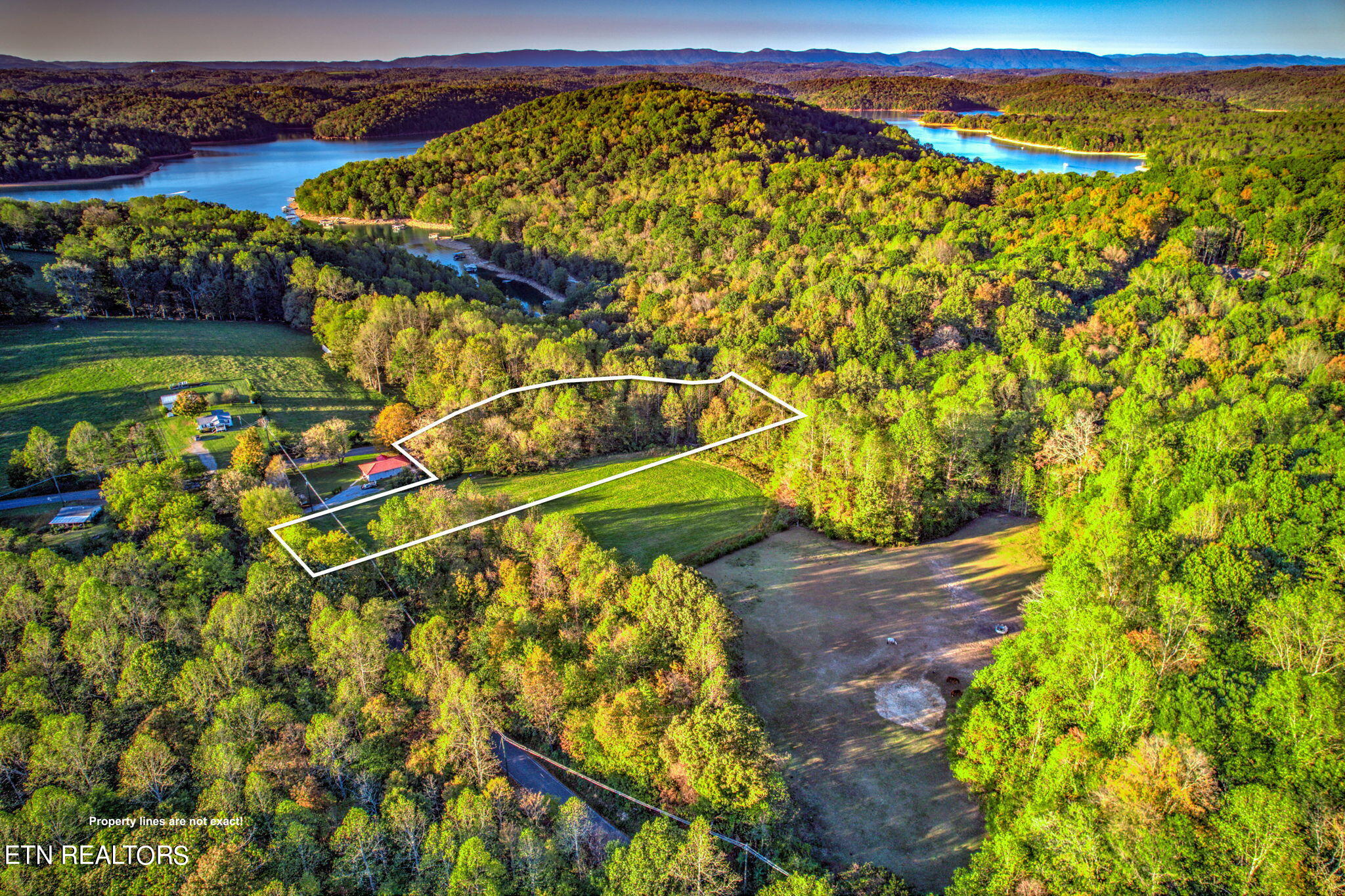 0 Ridge Circle Road Andersonville, TN 37705 - Photo 6 of 12 6-web-or-mls-9.3