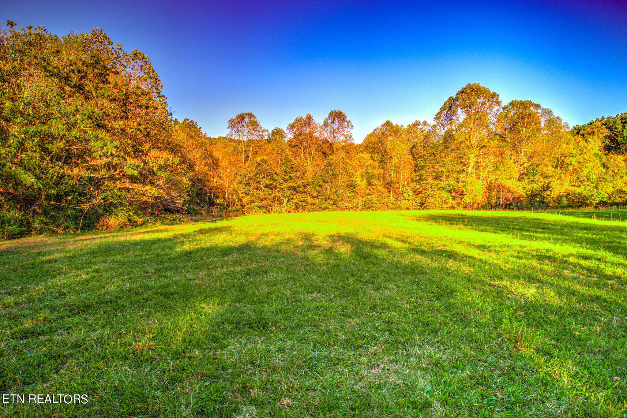 0 Ridge Circle Road Andersonville, TN 37705 - Photo 10 of 12 10-web-or-mls-9.9