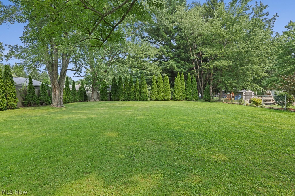 3989 Baird Road Stow, OH 44224 - Photo 38 of 50 Backyard