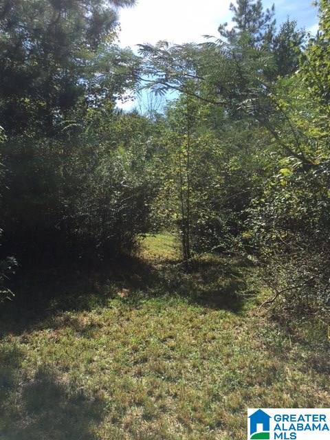 2932 County Road 82 Lineville, AL 36266 - Photo 13 of 16