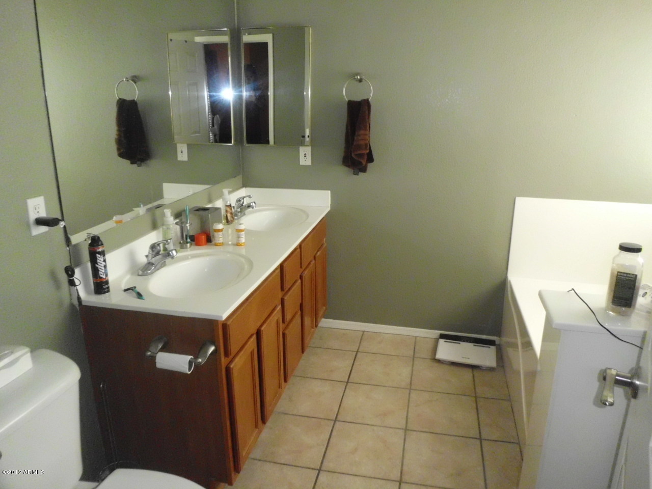 6205 East Roland Street Mesa, AZ 85215 - Photo 6 of 7 master bath 2
