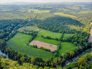 799 Bartley Road Rose Hill, VA 24281 - Photo 12 of 30 unnamed (10)