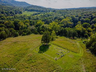 799 Bartley Road Rose Hill, VA 24281 - Photo 15 of 30 unnamed (13)