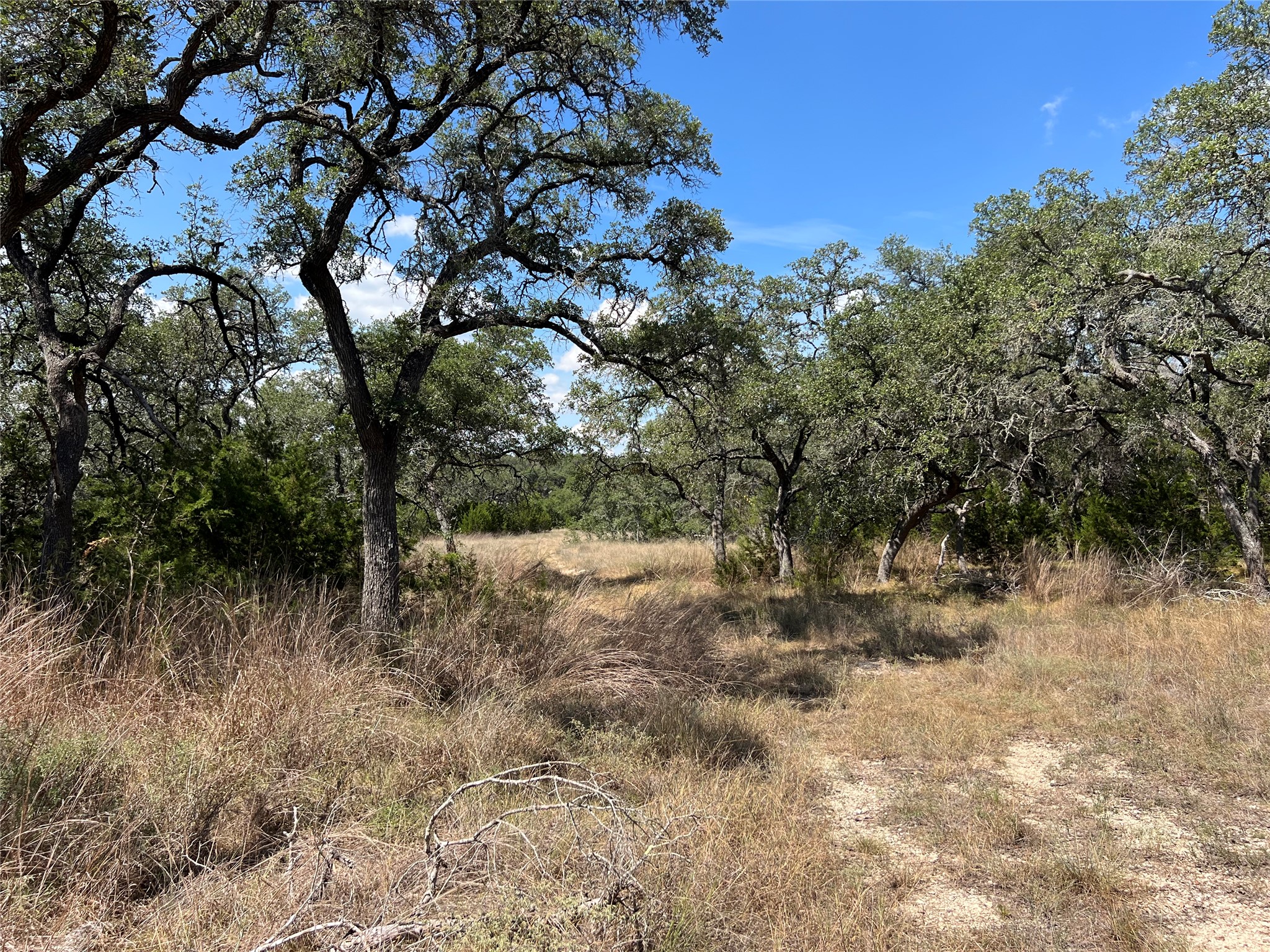 old ranch road