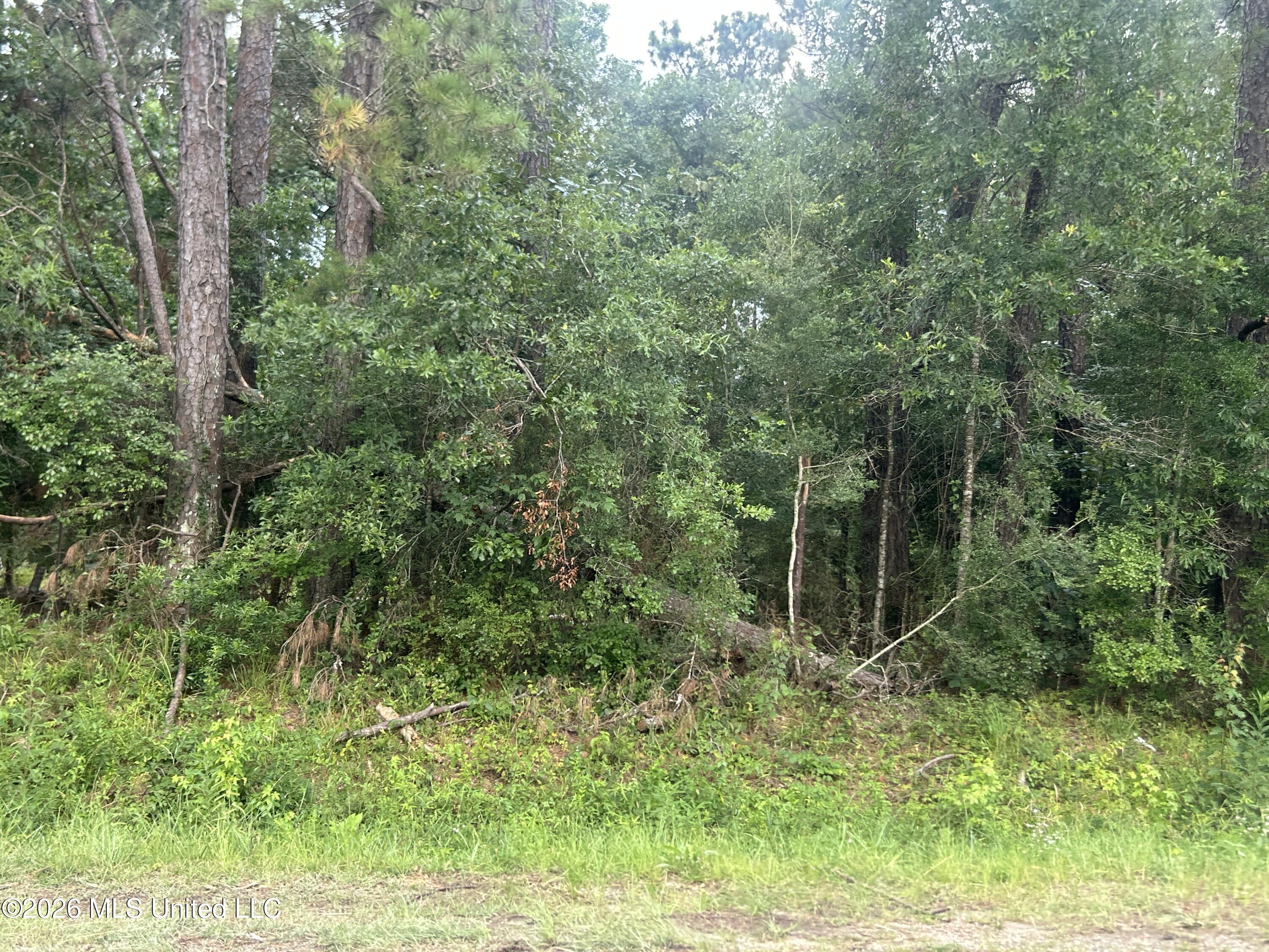 Tbd River Ridge Road Summit, MS 39666 - Photo 1 of 1 IMG_7486