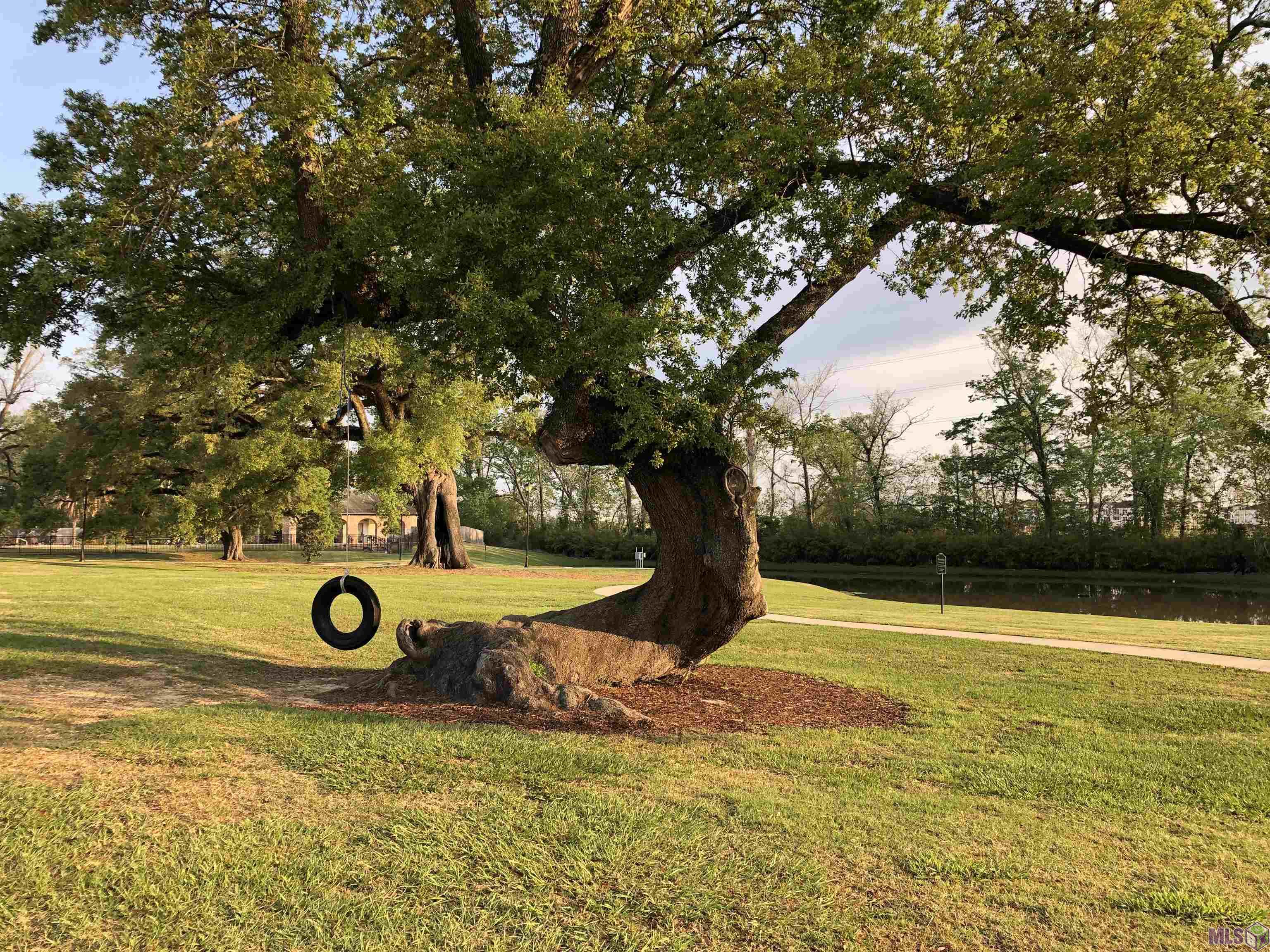 7121 Lane's End Baton Rouge, LA 70810 - Photo 50 of 53 Tire swing