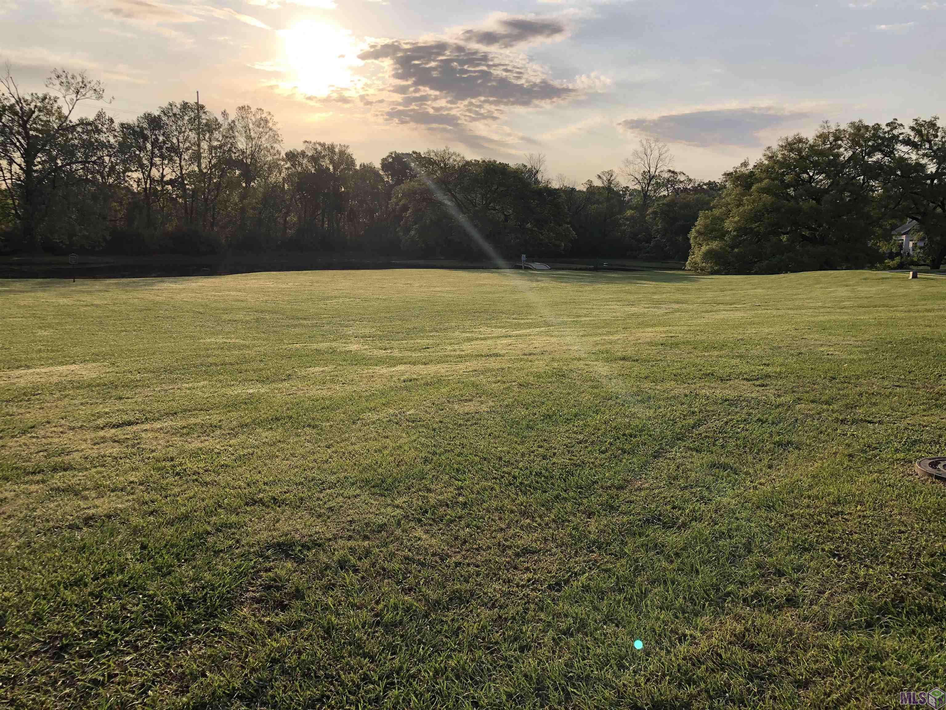 7121 Lane's End Baton Rouge, LA 70810 - Photo 51 of 53 10 acres of HOA green space