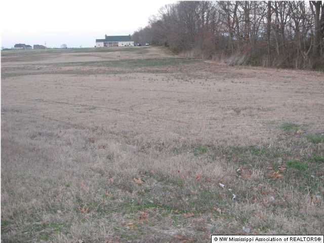 13 East Oak Grove Road Hernando, MS 38632 - Photo 1 of 1 Primary Photo