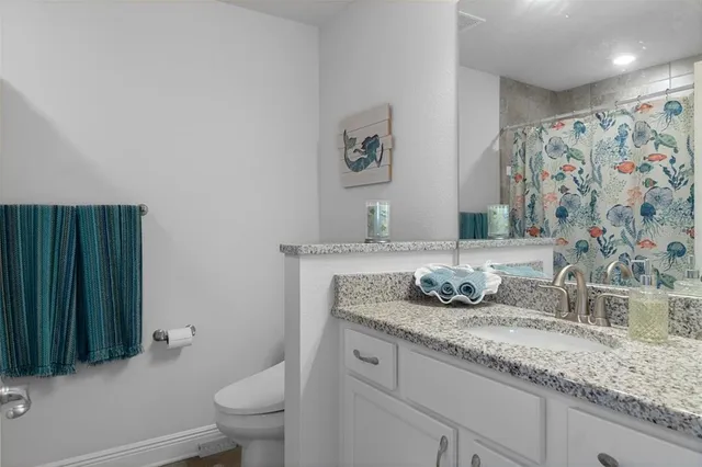 a bathroom with a toilet and shower curtain