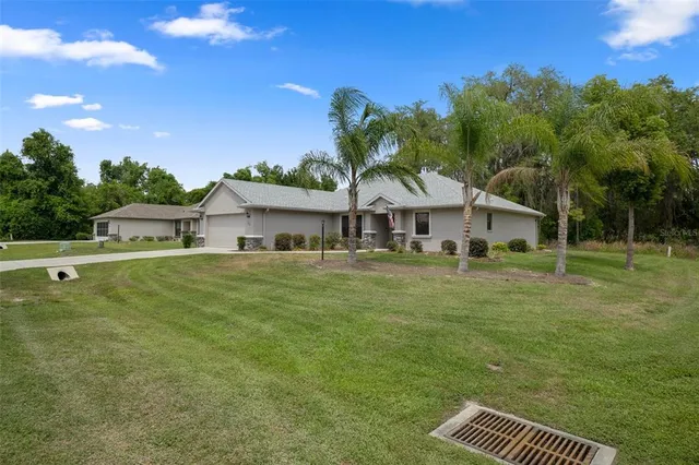a view of a park with large trees