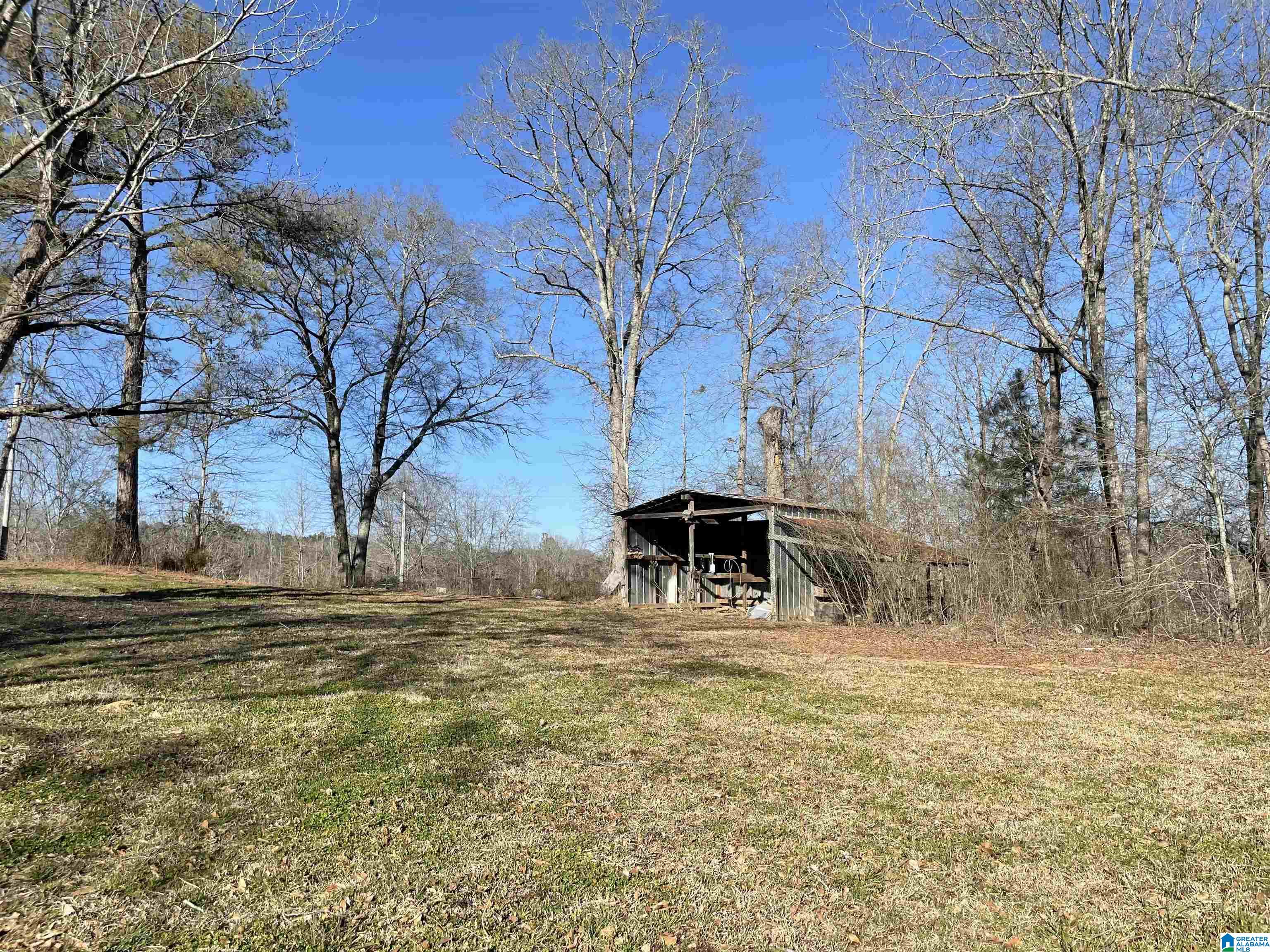 575 Saxon Creek Road Goodwater, AL 35072 - Photo 10 of 15