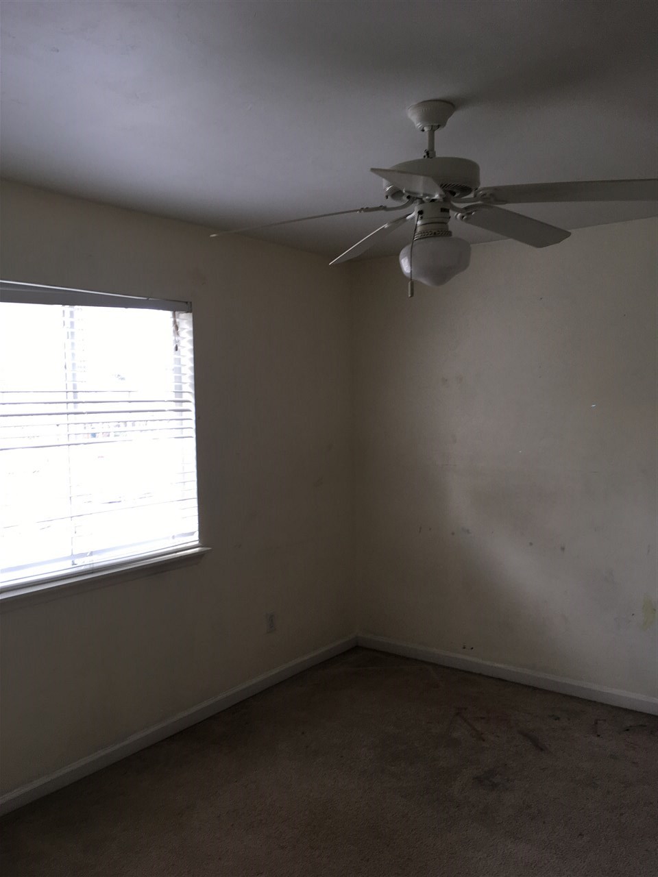 2525 Hartsfield Road, Unit 13 Tallahassee, FL 32303 - Photo 4 of 12 Gallery Image 4