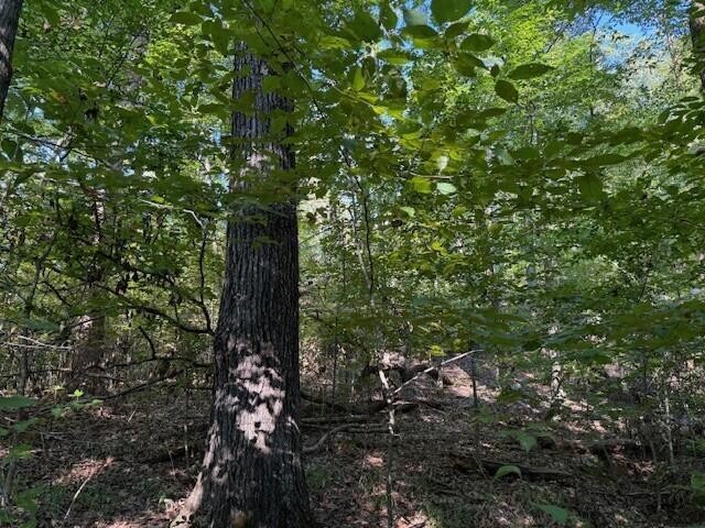 5 Mullins Cove Road Whitwell, TN 37397 - Photo 7 of 16 Gallery Image 7