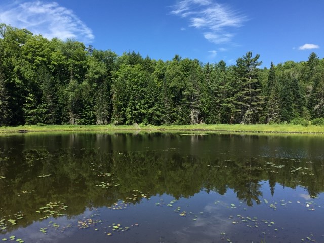 1704 Tenney Pond Road Newbury, VT 05081 - Photo 7 of 9