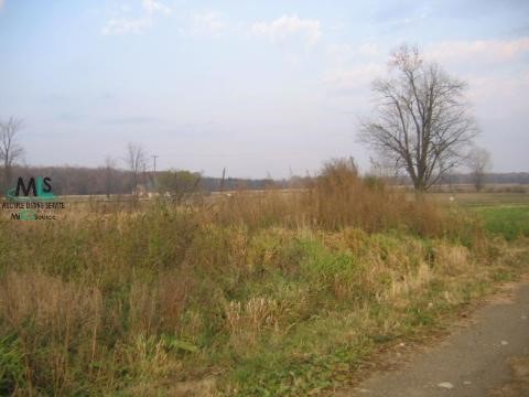 6609 Perry Road Yale, MI 48097 - Photo 4 of 4 909600-3.JPG