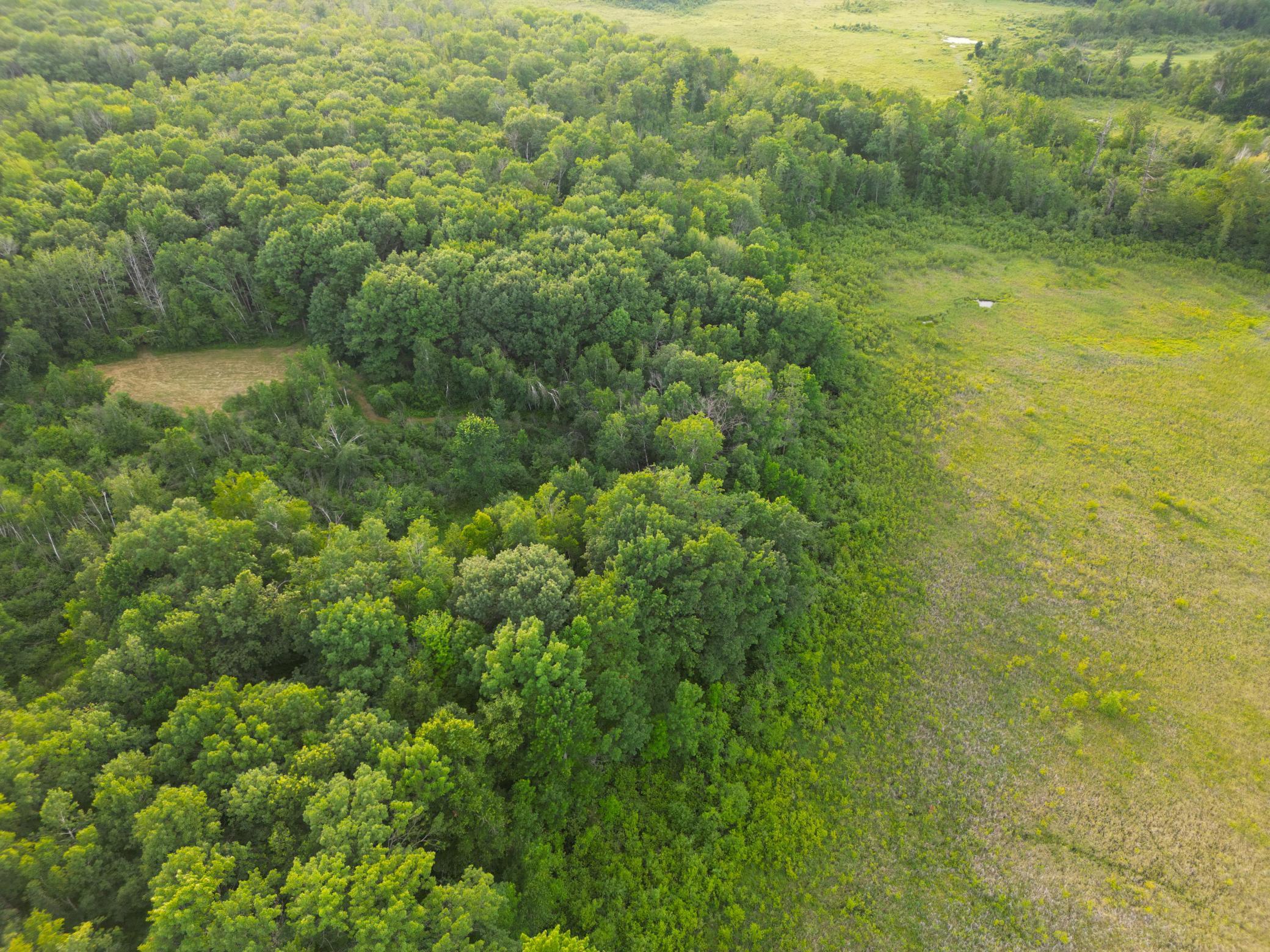 Xxx McGrew Road Isle, MN 56342 - Photo 75 of 92