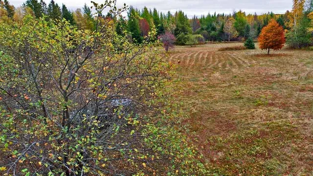 $99,500 | 479 Harris Hill Road, Weston, ME 04424