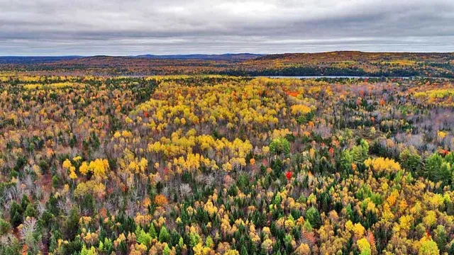 $99,500 | 479 Harris Hill Road, Weston, ME 04424