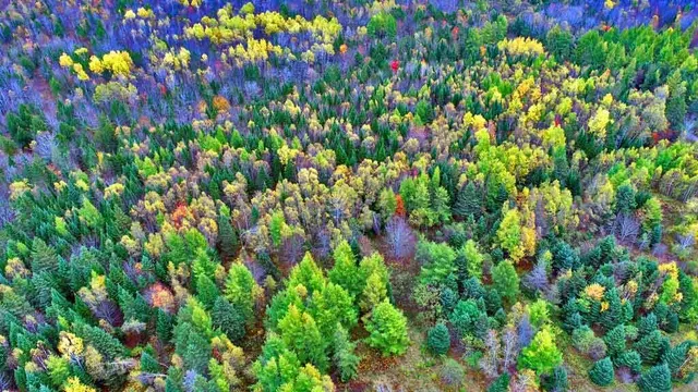 $99,500 | 479 Harris Hill Road, Weston, ME 04424