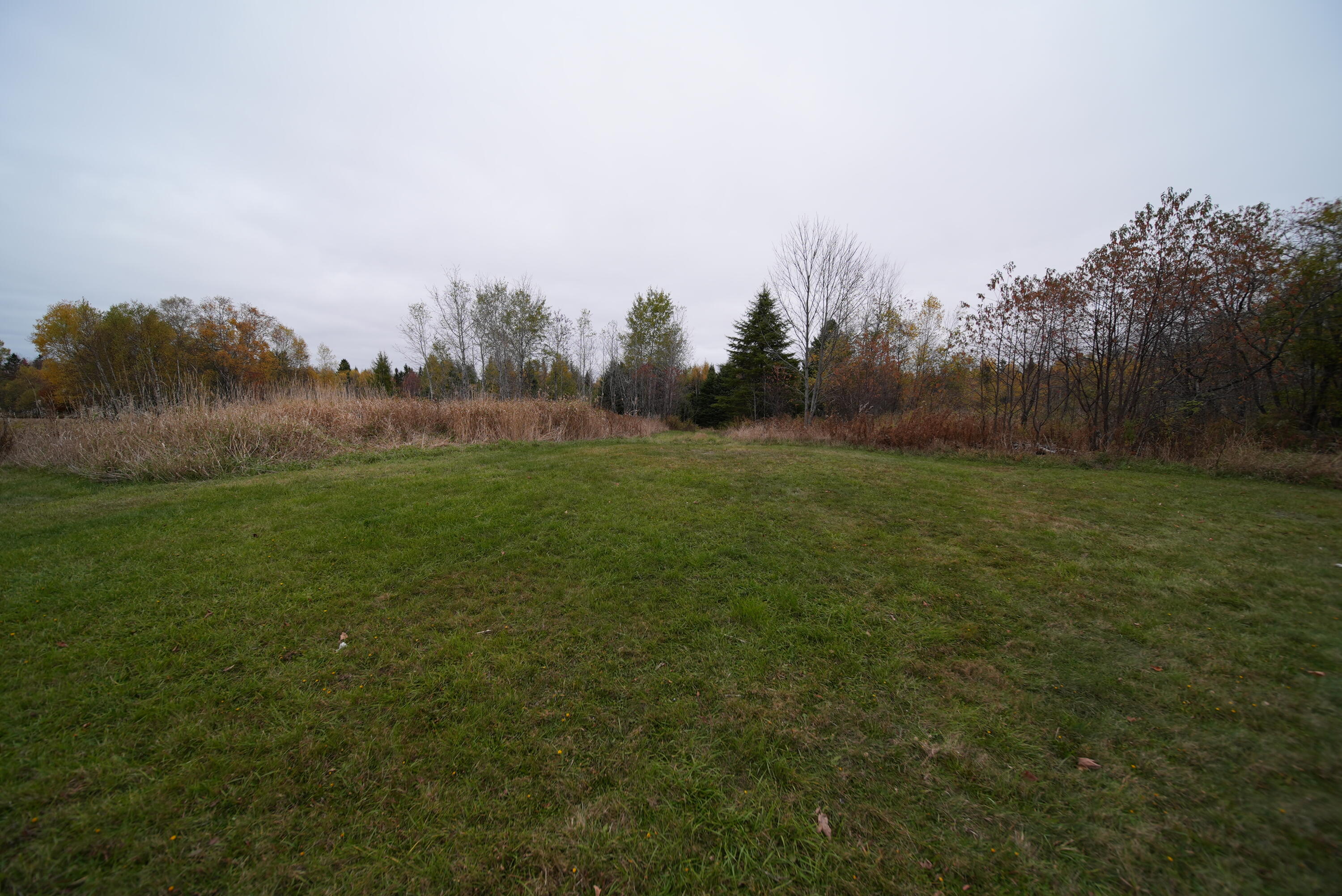 479 Harris Hill Road Weston, ME 04424 - Photo 35 of 58 DSC09372