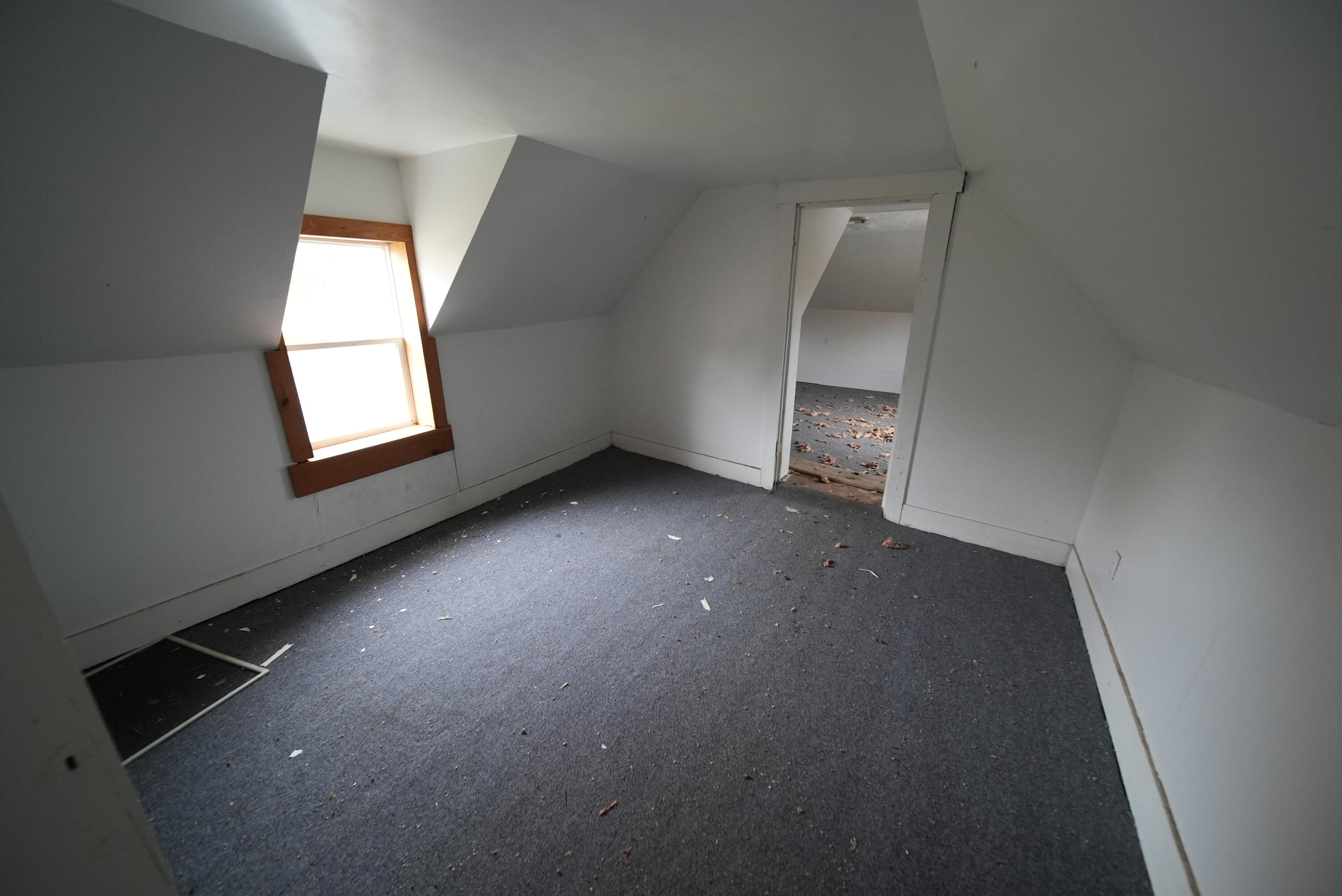 479 Harris Hill Road Weston, ME 04424 - Photo 54 of 58 DSC09396