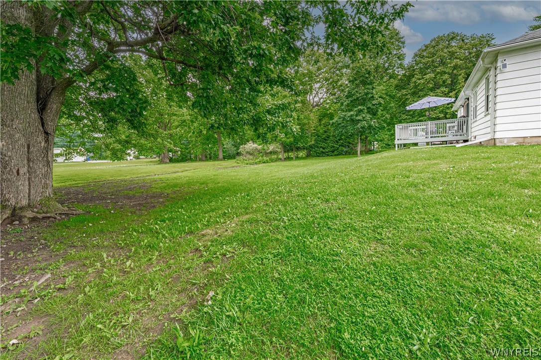 141 Elizabeth Street Ridgeway, NY 14103 - Photo 47 of 49