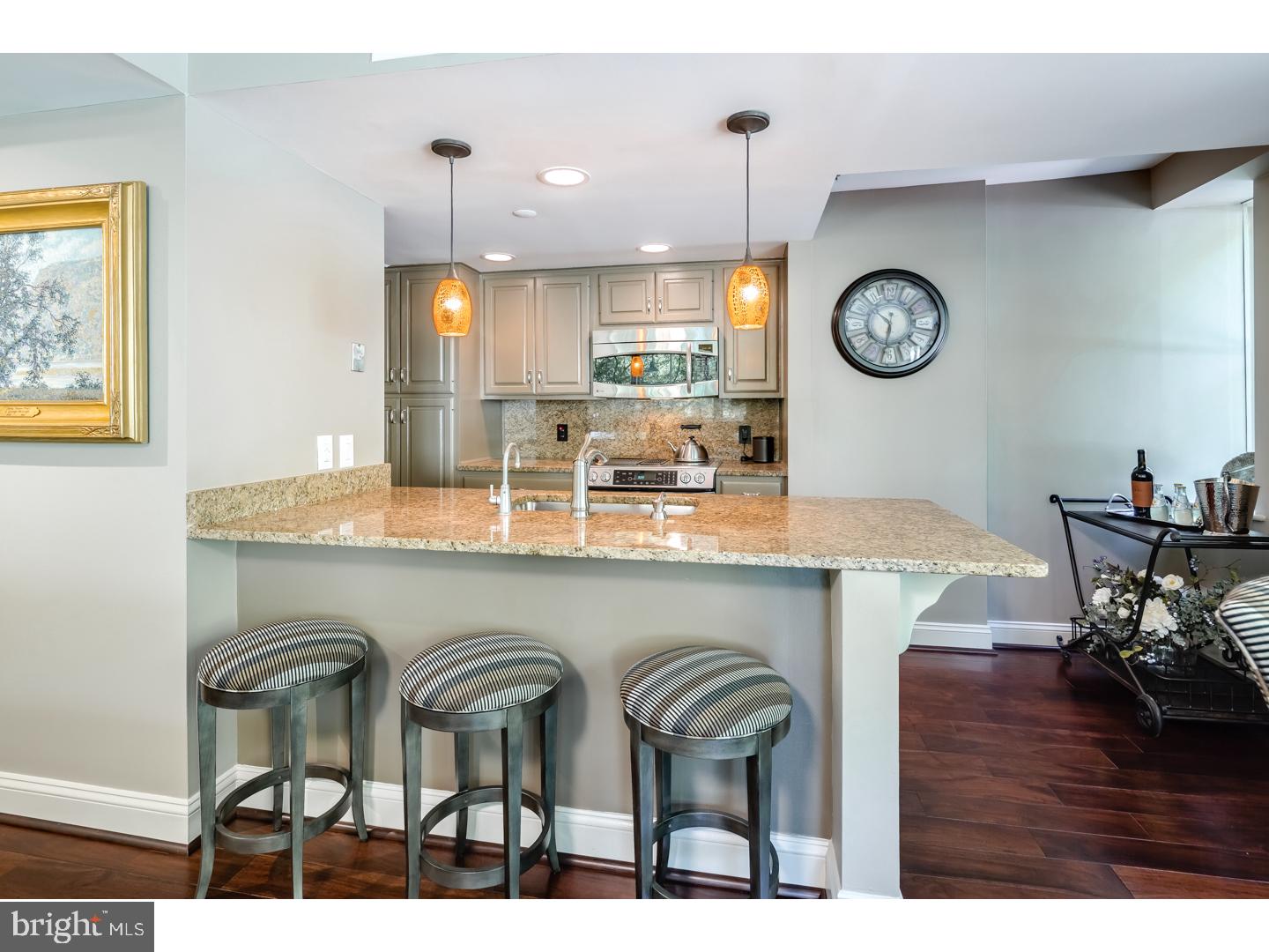 350 River Road, Unit A4 New Hope, PA 18938 - Photo 4 of 22