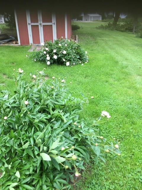 5936 East Michigan Road Waldron, IN 46182 - Photo 35 of 38