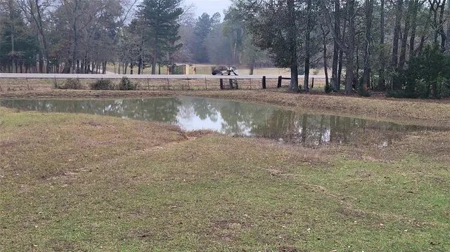 a view of a back yard