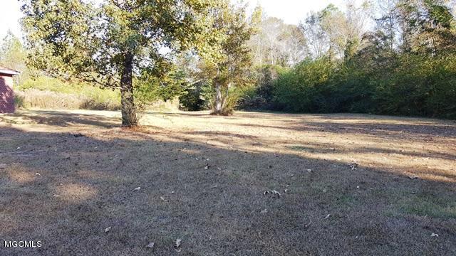 41 East Zion Road, Unit 1 Wiggins, MS 39577 - Photo 5 of 17 Yard