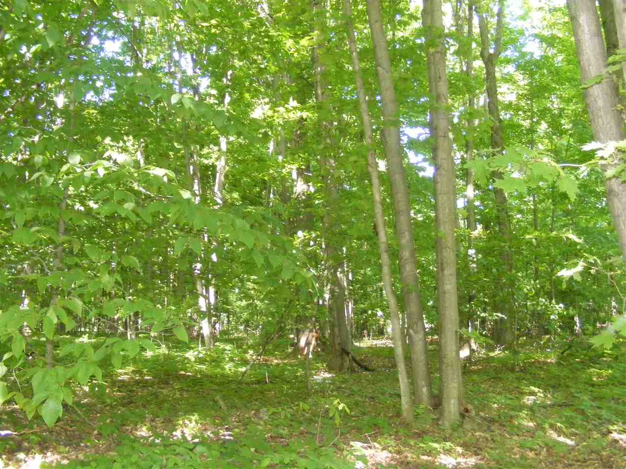 13674 Viaduct Road Copemish, MI 49625 - Photo 49 of 53 1862539-48.JPG