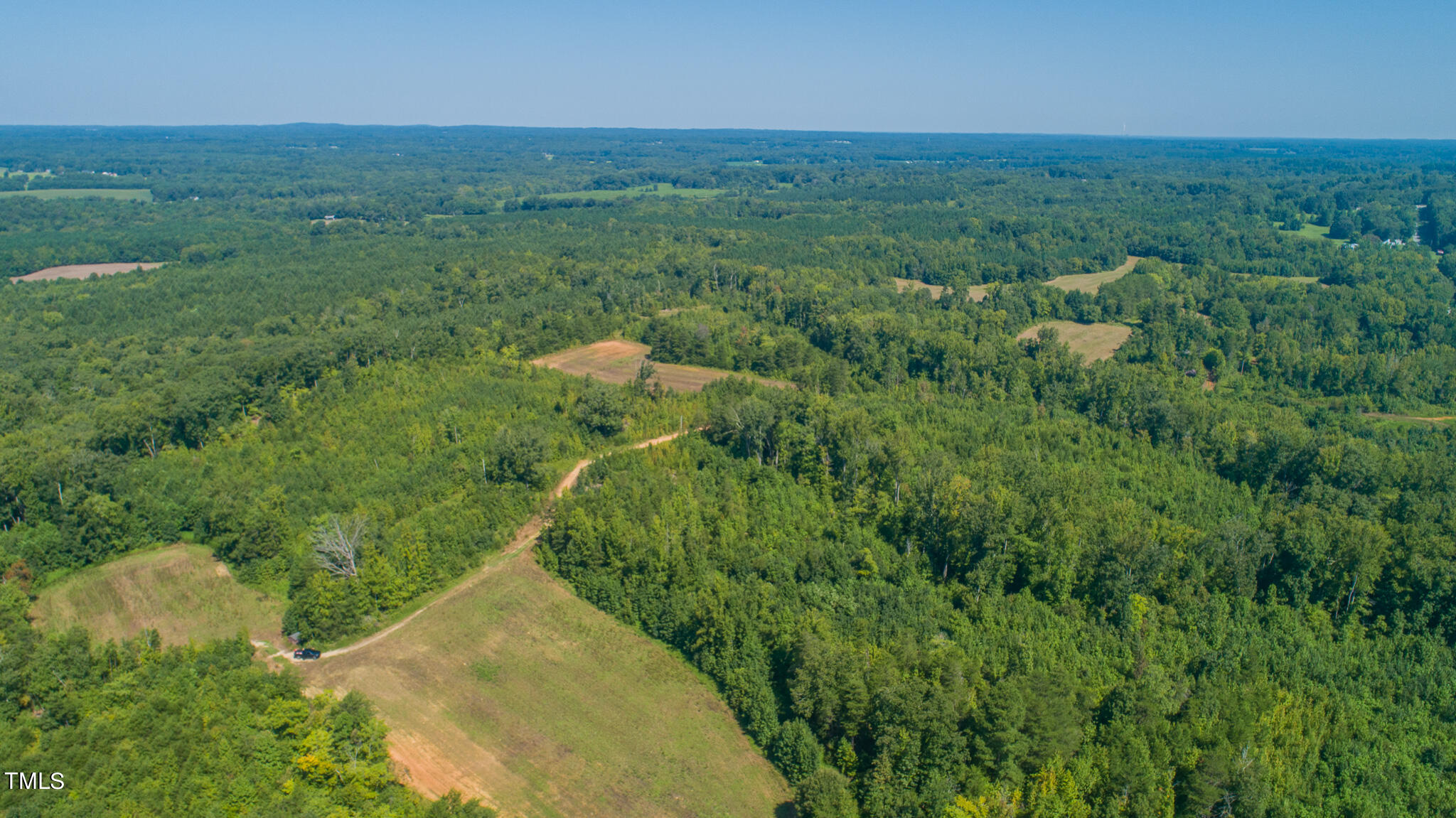 121-acres Medford Oakley Road Rougemont, NC 27572 - Photo 11 of 14 DJI_0289