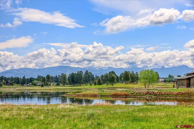 a view of a lake with a big yard and large trees