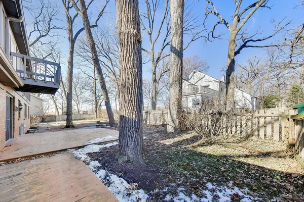 a view of a pathway with a tree