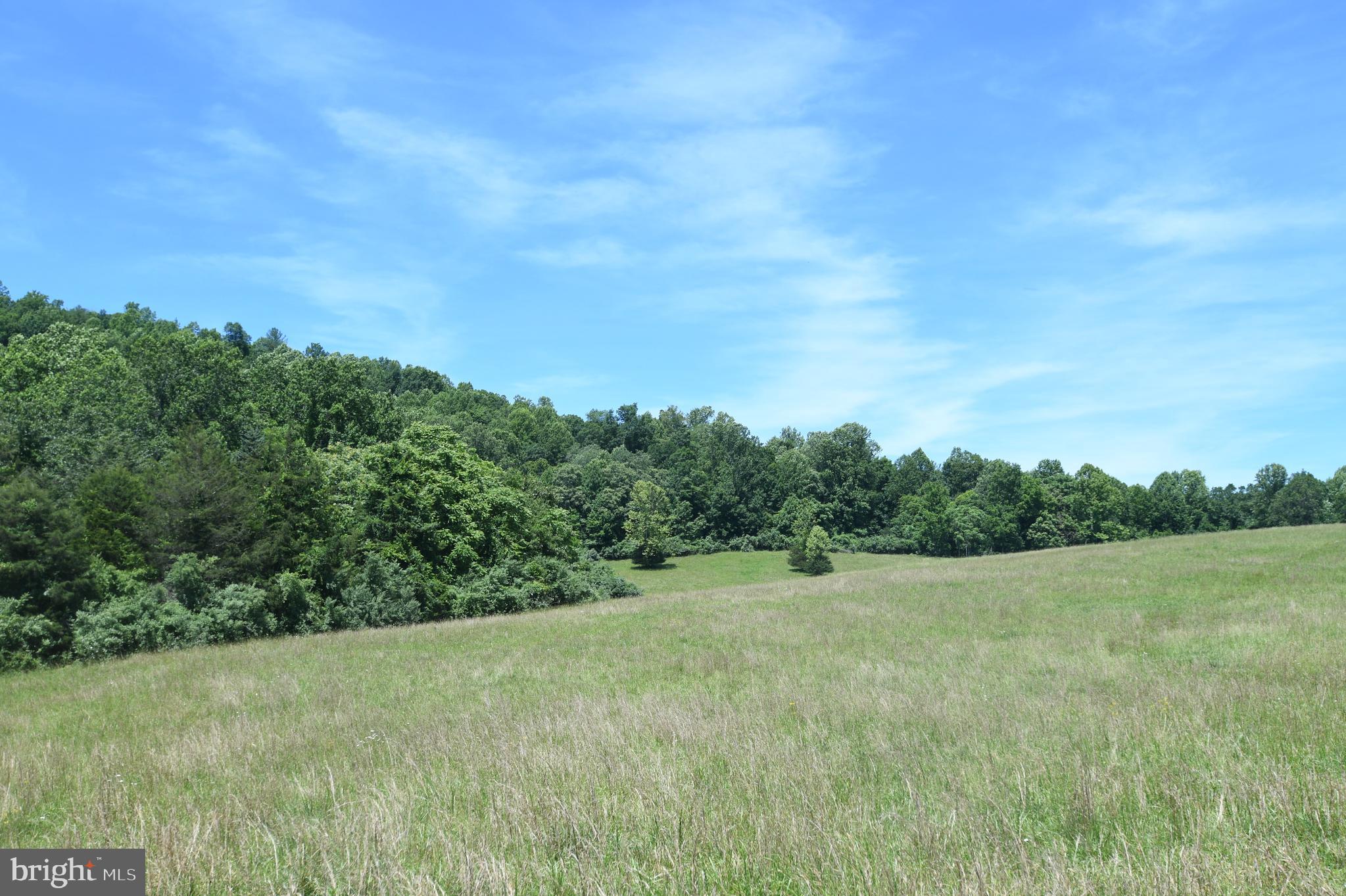 Slate Mills Road Sperryville, VA 22740 - Photo 11 of 12 a view of a big yard with plants and large trees
