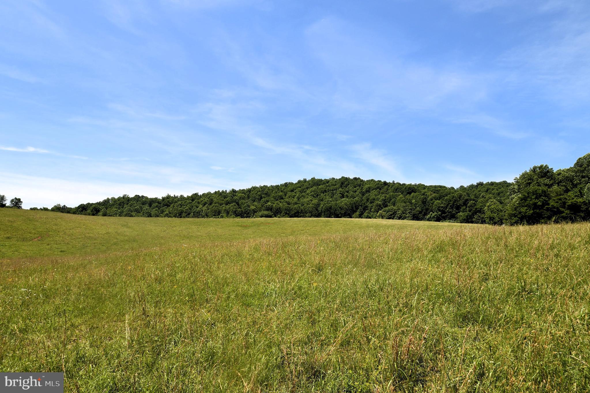 Slate Mills Road Sperryville, VA 22740 - Photo 4 of 12 a view of a lake and mountain view
