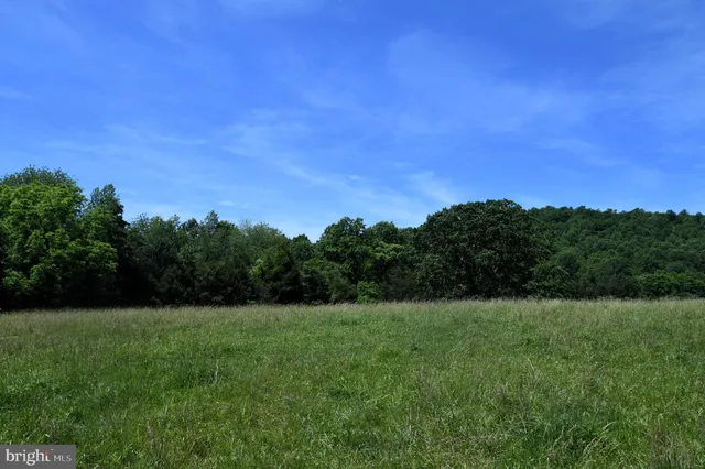 a view of a green field with plants