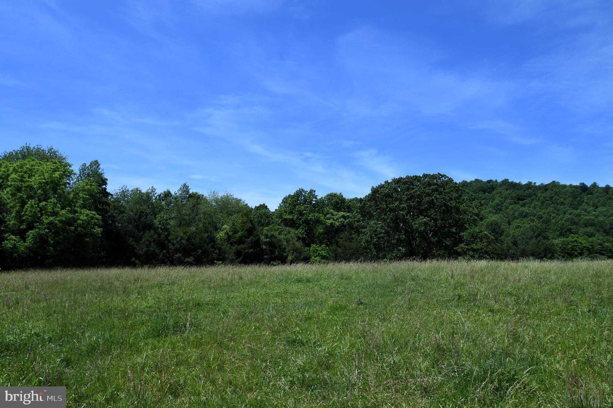 Slate Mills Road Sperryville, VA 22740 - Photo 5 of 12 a view of a green field with plants