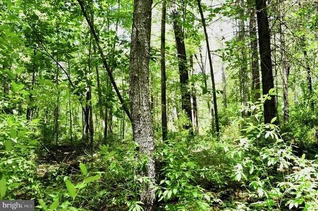 a backyard of a house with lots of swings